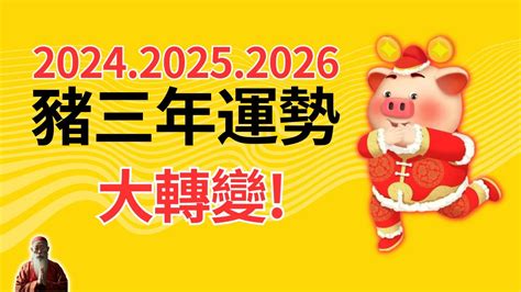 生肖豬幸運色|【豬 幸運色】屬豬2024年走大運！最旺幸運色、禁忌。